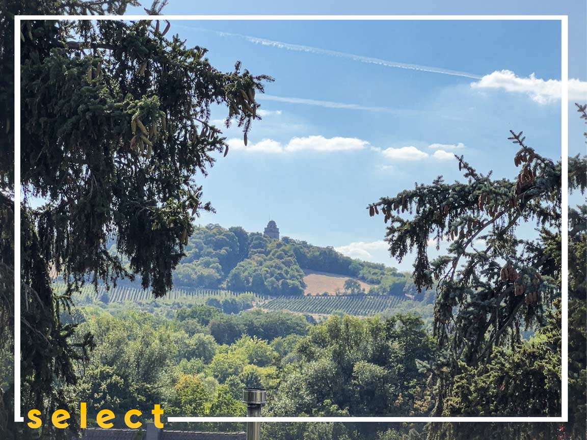 OberIngelheim Großzügiges Einfamilienhaus mit tollem Weitblick