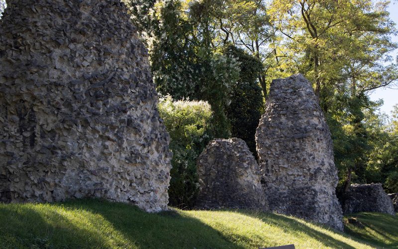 Hildegardis - Die Stadtoase Mietwohnung Mainz